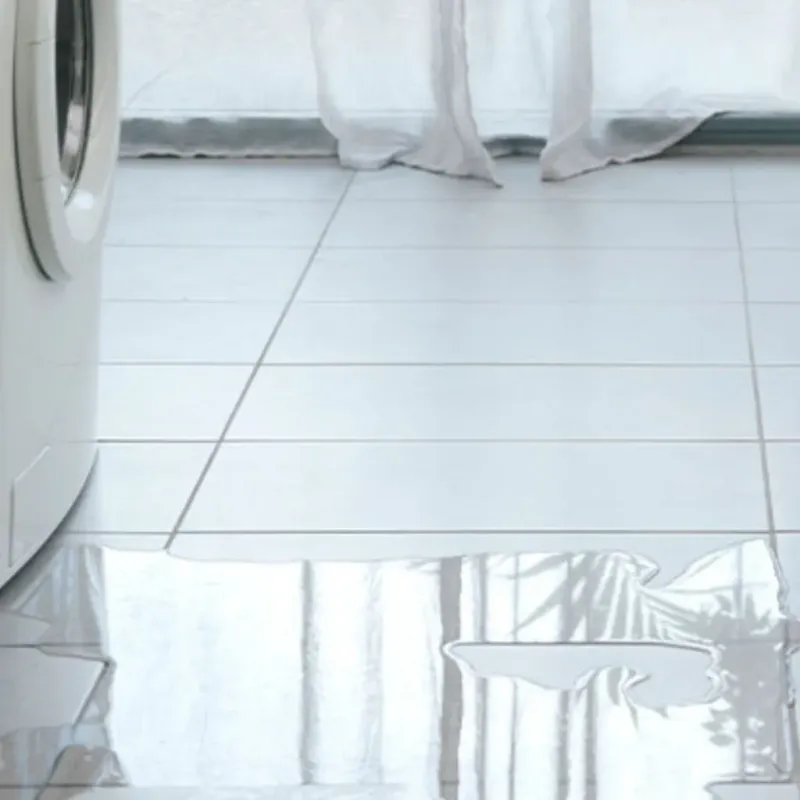 Appliance Leak Cleanup in Marietta-Alderwood, WA
