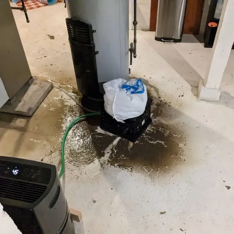 Sewage Backup Cleanup Service in Marietta-Alderwood, WA
